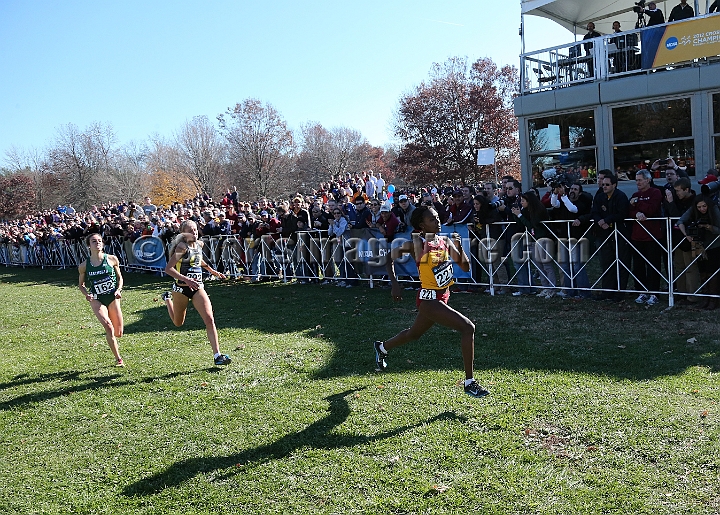 2012NCAA XC-054.JPG - 2012 NCAA D1 Cross Country Championships, November 17, 2012, held in Louisville, KY.